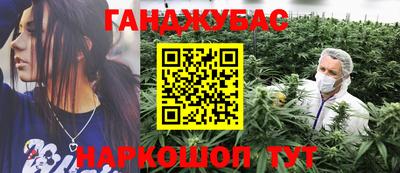 индика Новозыбков