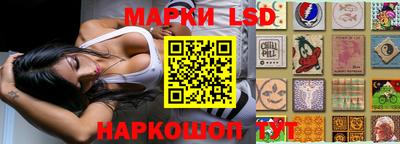 индика Новозыбков